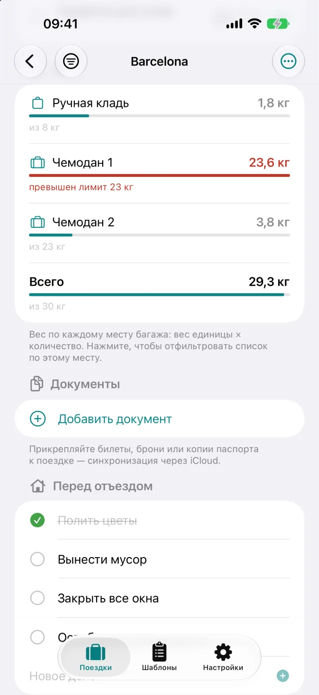 Вес каждого места багажа относительно нормы, здесь 23,6 кг при пределе 23 кг.