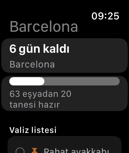 Apple Watch’ta yolculuk: geri sayım, hazırlık ilerlemesi ve orada da işaretlenebilen valiz listesi.